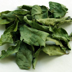 Curry Leaves
