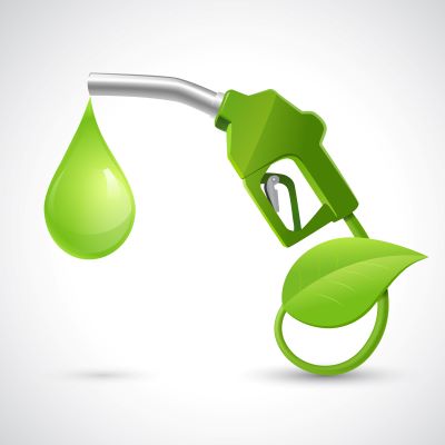 Biofuel & Renewable Energy